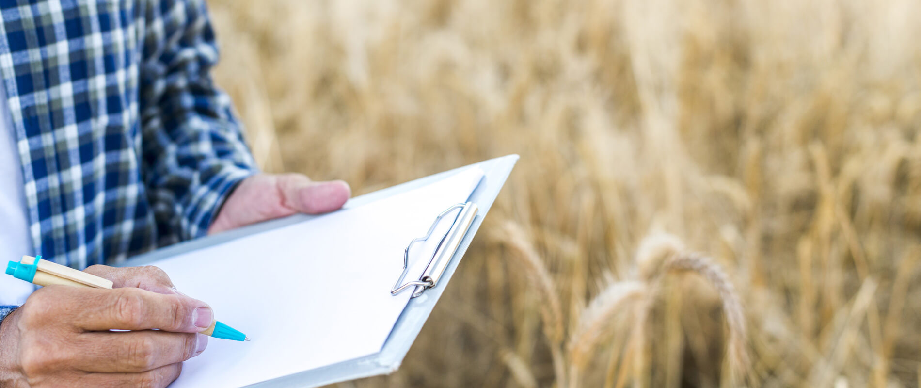 Estudos e Pesquisas Agricolas